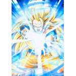 Super Dragon ball fan club