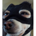 e n c h a n t e d