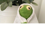 Kermit Vibez