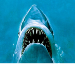 Amity Island And Jaws Fans Fan Club