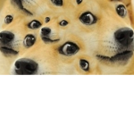 doge monster