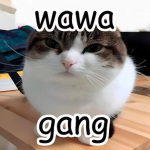 Wawa Gang