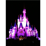 disneyland castle