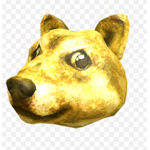 Dog A Sports