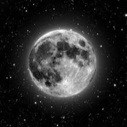 Build To The Moon