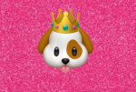 PrincessPuppy Playz