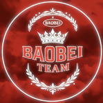BAOBEI TEAM