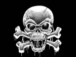 Lynxskull