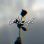 Thixef
