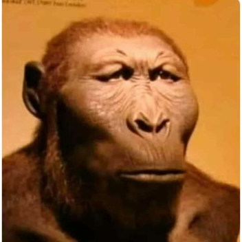 escape from nublor (WIP)