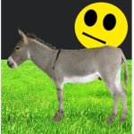 FarFromDonkey's Group of Donkey