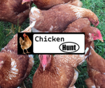 Chicken Hunt