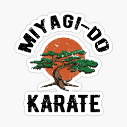M.i.ya.gi - Do Karate Dojo