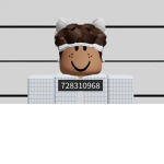 The Roblox player team