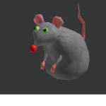 Rats R Life