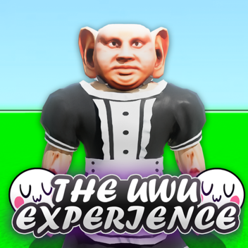 the uwu experience