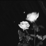 envyxnrg