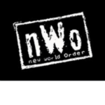 / NWO The Vigilantes /
