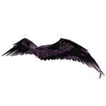 Purple Wings | Code: PRPVO