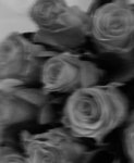 Against_l