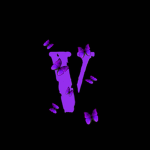 多 YBD ENT