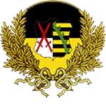 The Kingdom Of Saxony Navy