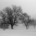snowedin
