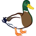 .:Ducky Army:.