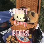 Fuzzy lovey bears