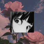 s h a d o w e d