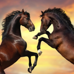 Bffs and friends and people who love horses
