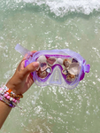 - Seashell Apparel -