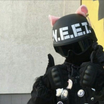 / N.E.E.T. /