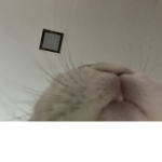 Cøśmîć Sqûâd