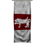 Kingdom of Vaegirs