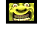 I LIKE ONIONS