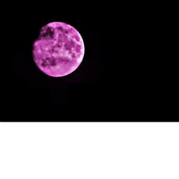 Moonlight Skies Hangout!