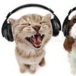 Hi I’m Peter this is Lou’s my sons Stewie and chri