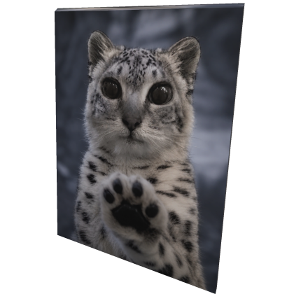 Snowleopard Mei Mei Cape