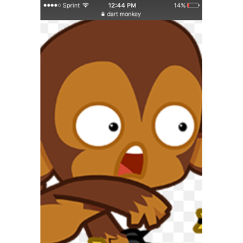 BE A MONKEY BUNKER NEAR