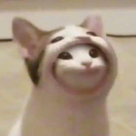 猫猫帝国