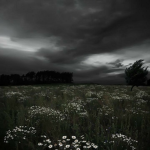~diluvio~