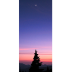 다크의 스튜디오