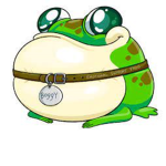 The B O G G Y Frog's incorporated
