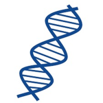 Nova Research