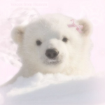 Xsnowpuffs