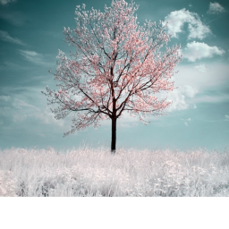 ~ calm ~