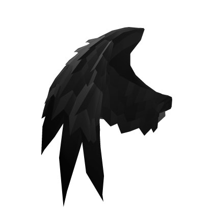 Half of the Dark Fallen Crow Wings