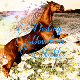 -Destiny Mountain Stables (DMS)-