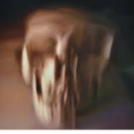 TRACE EFFECTS